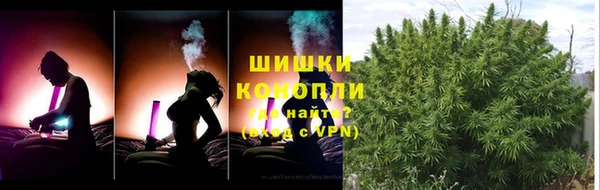 ПСИЛОЦИБИНОВЫЕ ГРИБЫ Алзамай