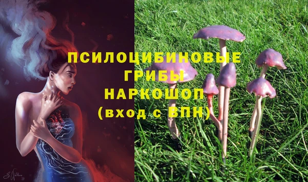 первитин Медногорск