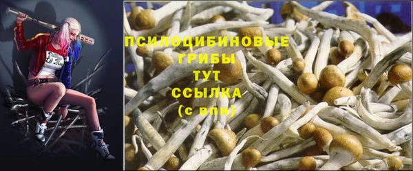 гашик Алексин