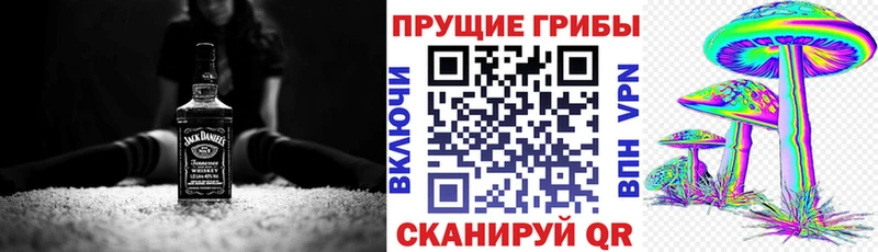 darknet клад  Гаврилов Посад  Псилоцибиновые грибы Cubensis 