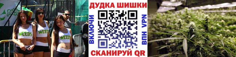 купить наркотики цена  Гаврилов Посад  Бошки марихуана индика 